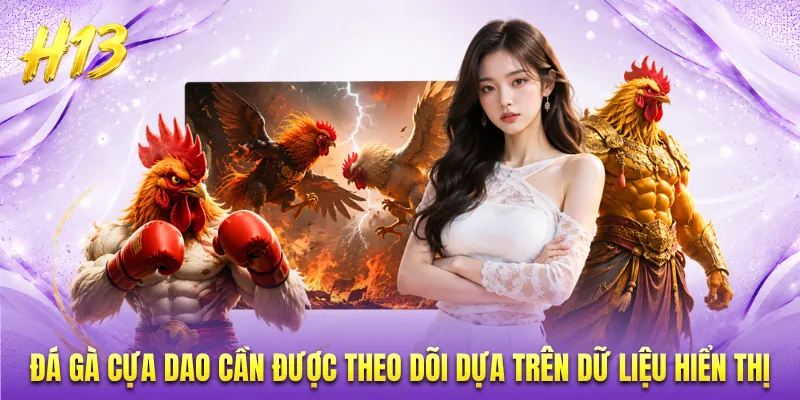 Đá gà cựa dao cần được theo dõi dựa trên dữ liệu hiển thị