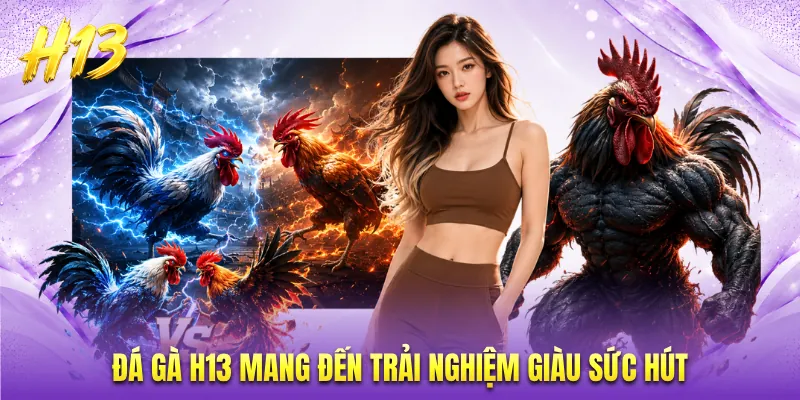 Đá gà H13 mang đến trải nghiệm giàu sức hút