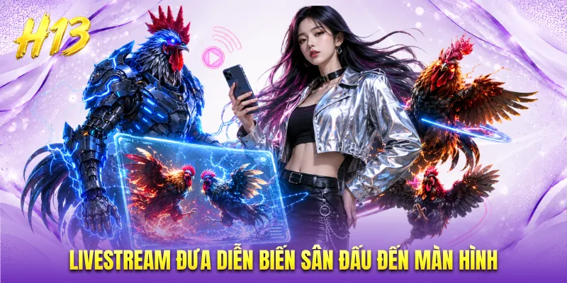 Livestream đưa diễn biến sân đấu đến màn hình